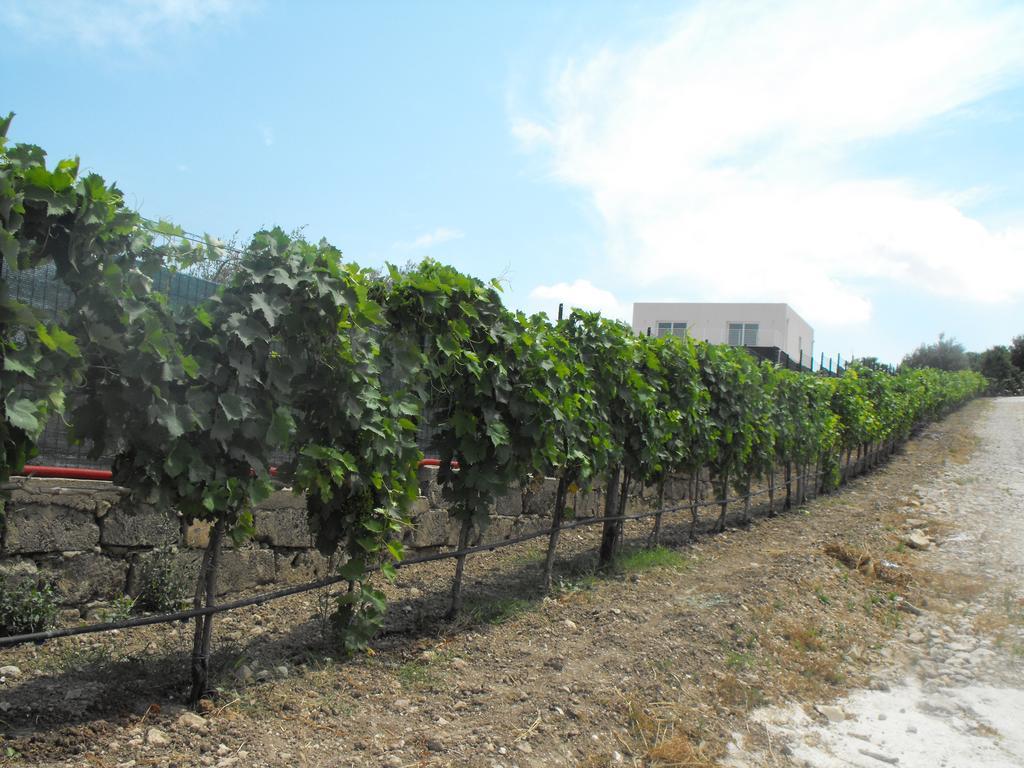 Agriturismoeloropizzuta Lido di Noto Bagian luar foto