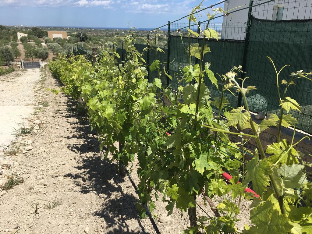Agriturismoeloropizzuta Lido di Noto Bagian luar foto